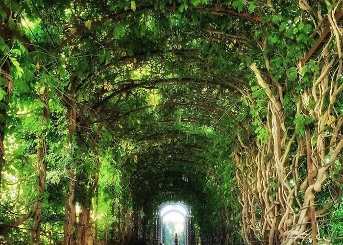 10 Min Walk To Schonbrunn L Deluxe *